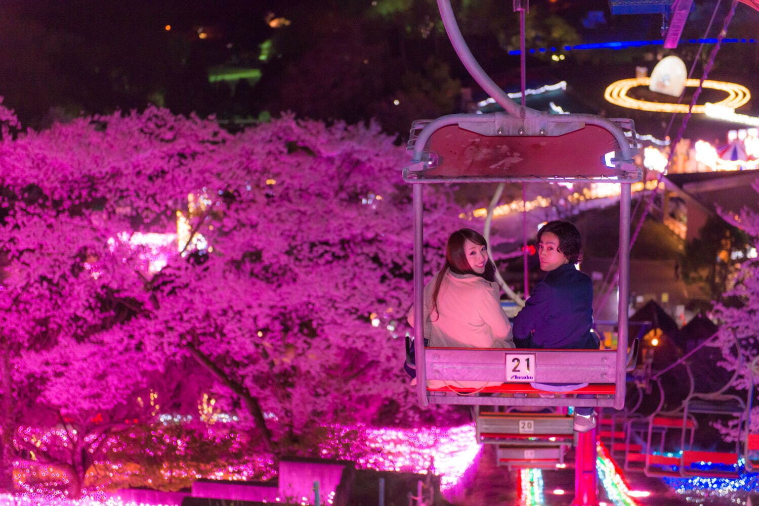 「さがみ湖桜まつり」2,500本の桜を楽しむ“空中お花見”、夜桜×すみっコぐらしイルミネーションも｜写真6
