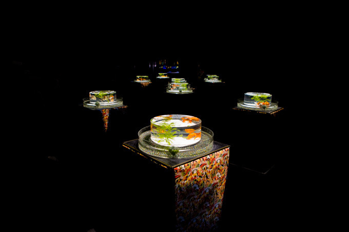 約5000匹の金魚が泳ぐ水中アート「アートアクアリウム2014」開催｜写真12