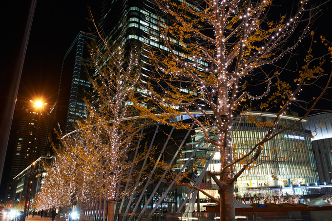 23万の光が彩る、グランフロント大阪のXmasイルミネーション - アナ雪などディズニーをテーマに｜写真2