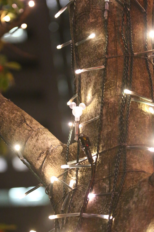 23万の光が彩る、グランフロント大阪のXmasイルミネーション - アナ雪などディズニーをテーマに｜写真3