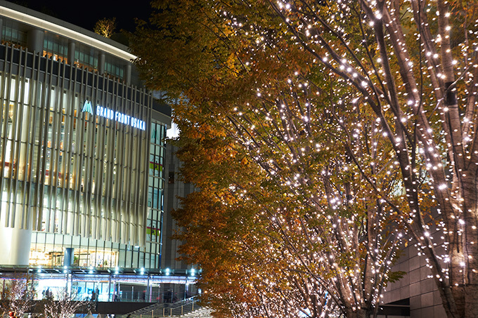 23万の光が彩る、グランフロント大阪のXmasイルミネーション - アナ雪などディズニーをテーマに｜写真4
