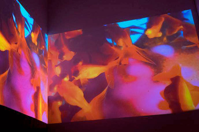 蜷川実花、初のセルフポートレイトを中心とした展覧会を原美術館で開催 - 映像インスタレーションも｜写真36