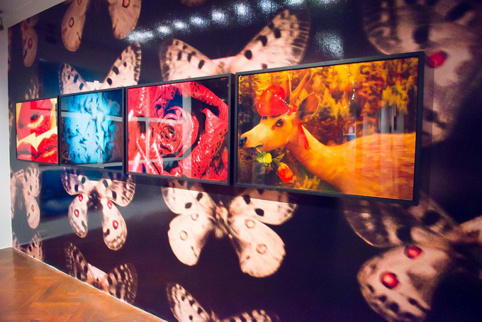 蜷川実花、初のセルフポートレイトを中心とした展覧会を原美術館で開催 - 映像インスタレーションも｜写真24