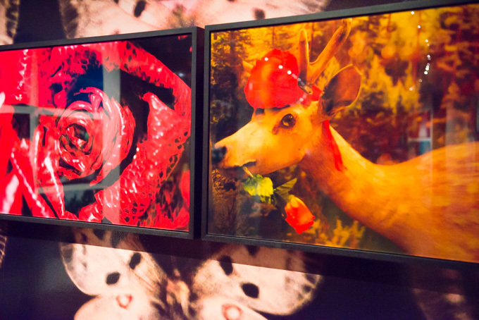 蜷川実花、初のセルフポートレイトを中心とした展覧会を原美術館で開催 - 映像インスタレーションも｜写真25