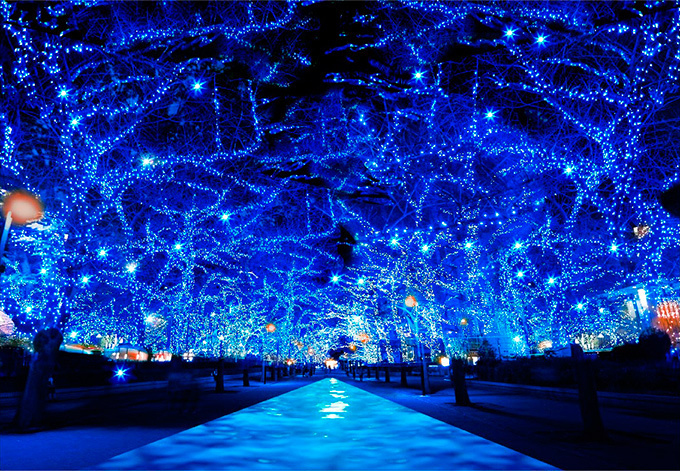 青の洞窟イルミネーションが渋谷で復活！渋谷公園通りから代々木公園ケヤキ並木まで青の空間に｜写真8