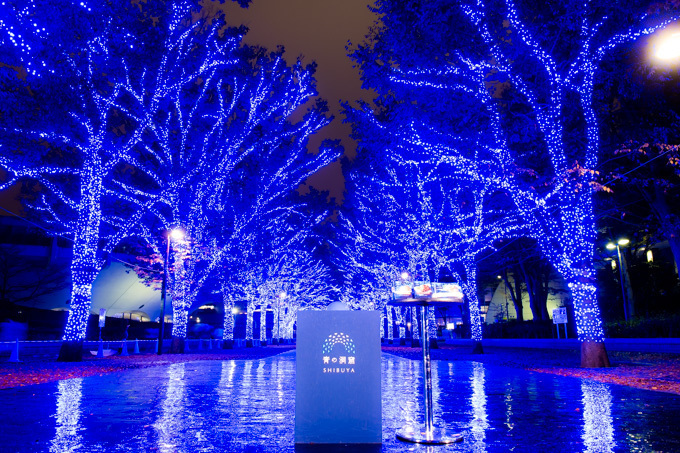 青の洞窟イルミネーションが渋谷で復活！渋谷公園通りから代々木公園ケヤキ並木まで青の空間に｜写真1