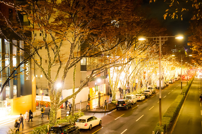 表参道ケヤキ並木にイルミネーション - 2014年度もクリスマスに向け点灯｜写真2