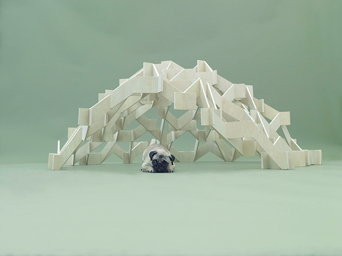 「犬のための建築」展が金沢21世紀美術館で開催｜写真7