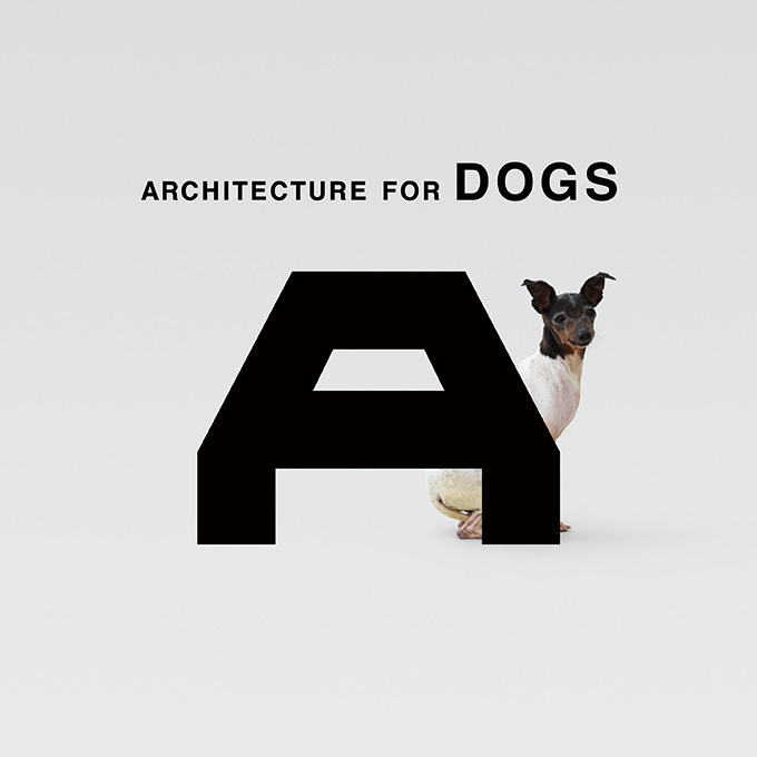 「犬のための建築」展が金沢21世紀美術館で開催｜写真13