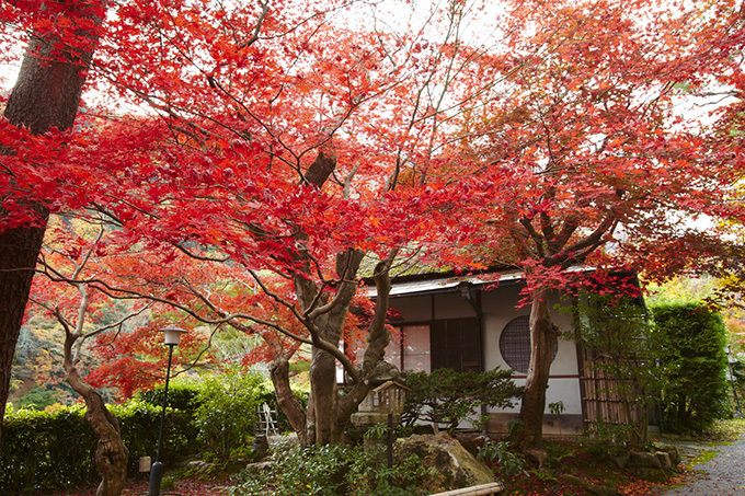 京都・嵐山に日本初進出の外資系高級ホテル「ラグジュアリーコレクション」が2015年3月開業｜写真6