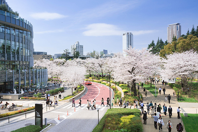 東京ミッドタウンの花見イベント「ミッドタウン・ブロッサム2015」が開催｜写真2