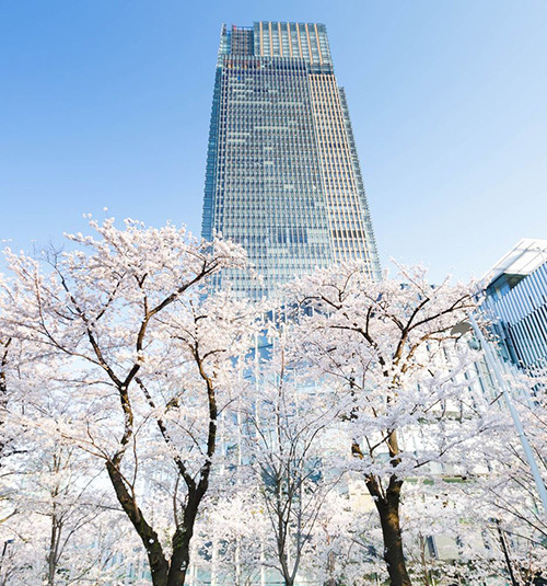 東京ミッドタウンの花見イベント「ミッドタウン・ブロッサム2015」が開催｜写真4