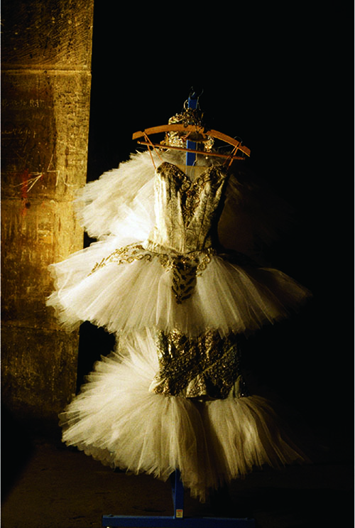 写真集『リトル・ダンサー 夢見る女の子』ガーリーでロマンティックな“小さな”バレエの世界｜写真4