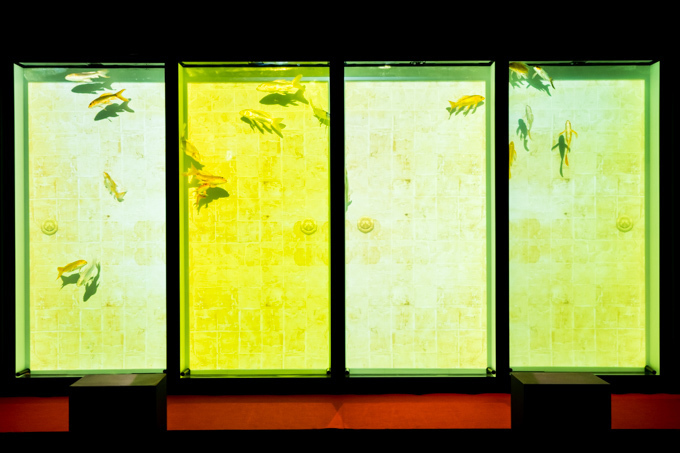 「アートアクアリウム2015」日本橋で開催 - 約5000匹の金魚が泳ぐ水中アート｜写真38