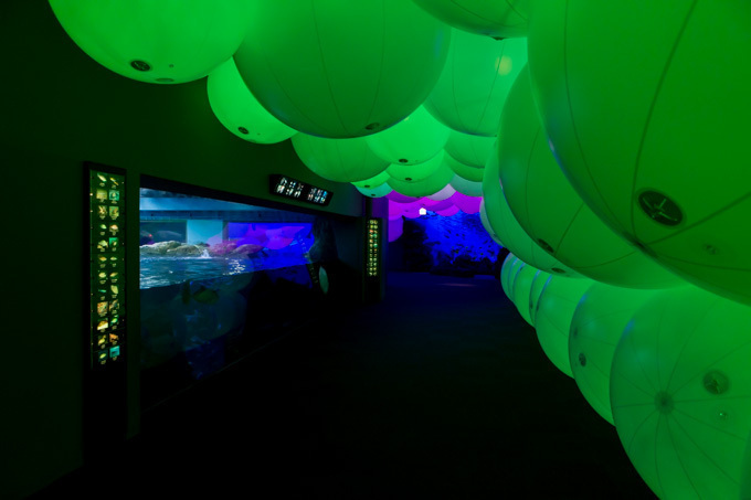 「ナイトワンダーアクアリウム2015」新江ノ島水族館で開催！チームラボが贈る大水槽の幻想的な世界｜写真20