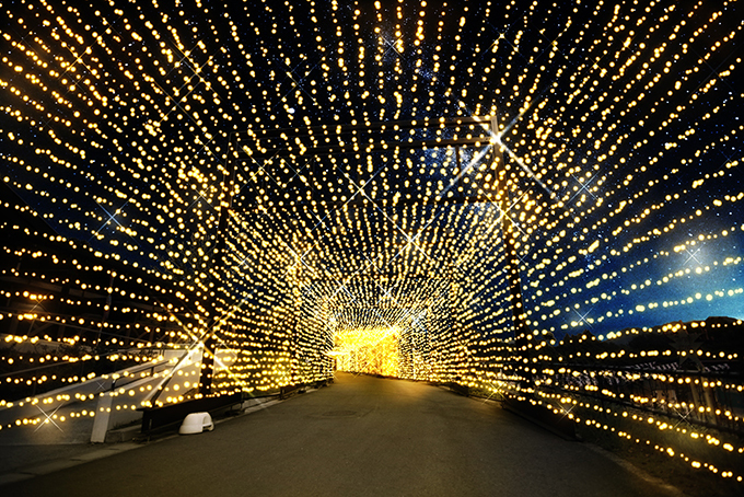 光の祭典「さがみ湖イルミリオン」開催 - 関東最大600万球が華やかに輝く｜写真4