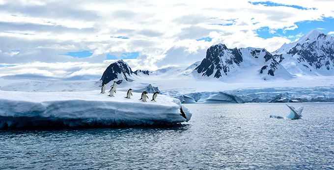 書籍『北極スマイル・南極スマイル』- ホッキョクグマ、エンペラーペンギンなどの可愛らしい姿｜写真3