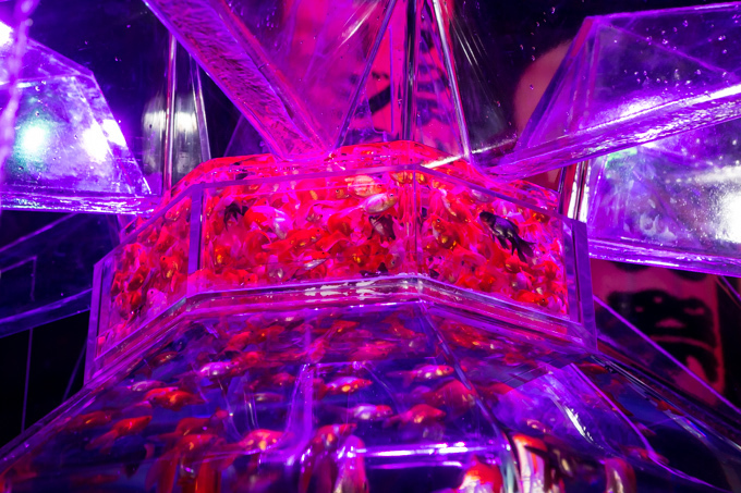 「アートアクアリウム展」東京・大阪・金沢21世紀美術館で開催 - 8,000匹の金魚が舞う水中アート｜写真2