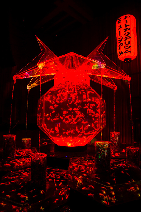 「アートアクアリウム展」東京・大阪・金沢21世紀美術館で開催 - 8,000匹の金魚が舞う水中アート｜写真3