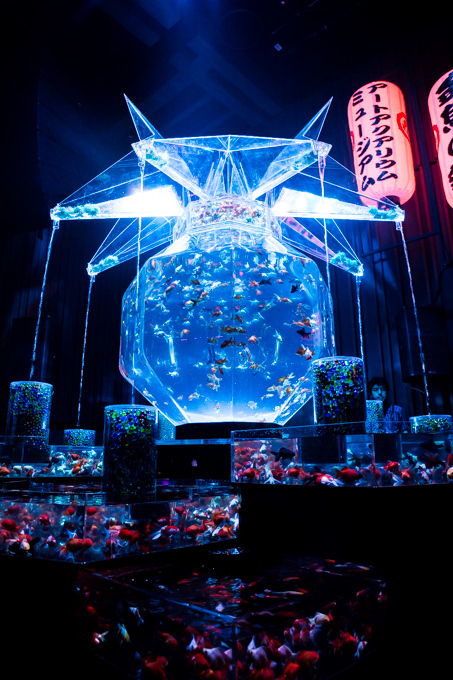 「アートアクアリウム展」東京・大阪・金沢21世紀美術館で開催 - 8,000匹の金魚が舞う水中アート｜写真4