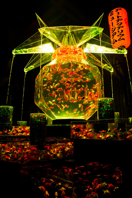 「アートアクアリウム展」東京・大阪・金沢21世紀美術館で開催 - 8,000匹の金魚が舞う水中アート｜写真6