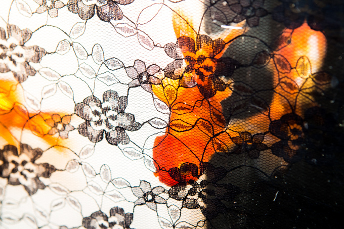 「アートアクアリウム展」東京・大阪・金沢21世紀美術館で開催 - 8,000匹の金魚が舞う水中アート｜写真14