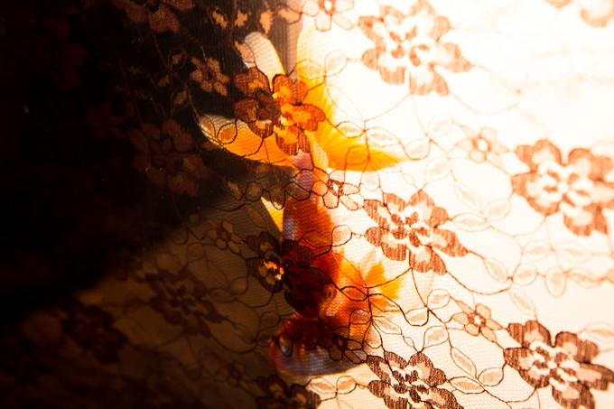 「アートアクアリウム展」東京・大阪・金沢21世紀美術館で開催 - 8,000匹の金魚が舞う水中アート｜写真15