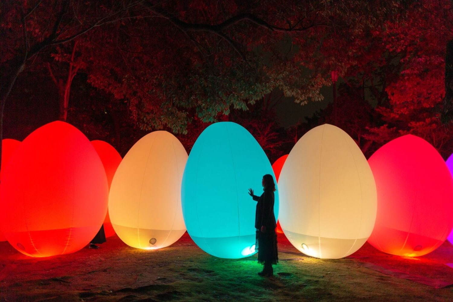 京都・下鴨神社で「光の祭」チームラボが参道＆神社を光と音の幻想空間に変える｜写真7
