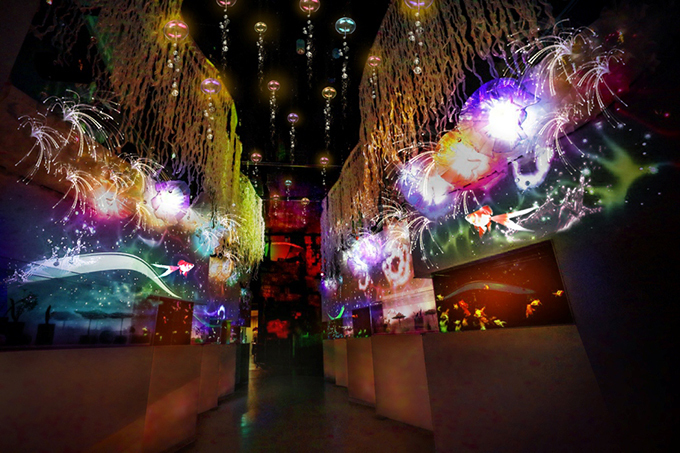 「花火アクアリウム by NAKED」アクアパーク品川で開催、花火の映像と共にイルカのナイトショー｜写真8
