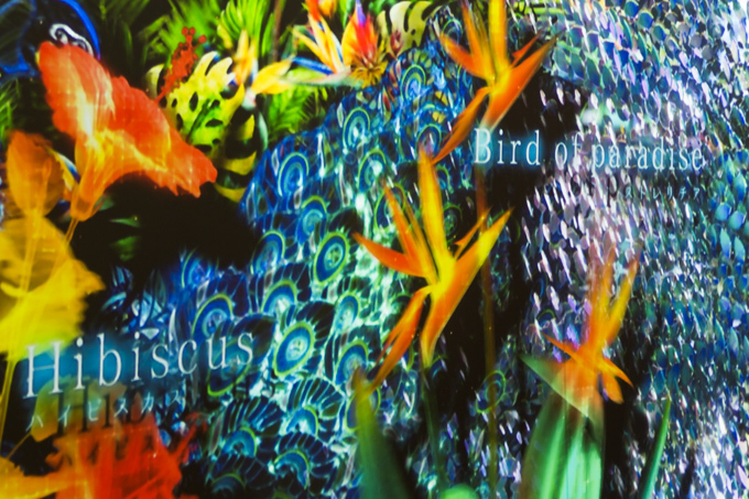 「フラワーズバイネイキッド 魅惑の楽園」東京ミッドタウンで開催、五感で“花”を楽しむイベントが再び｜写真4