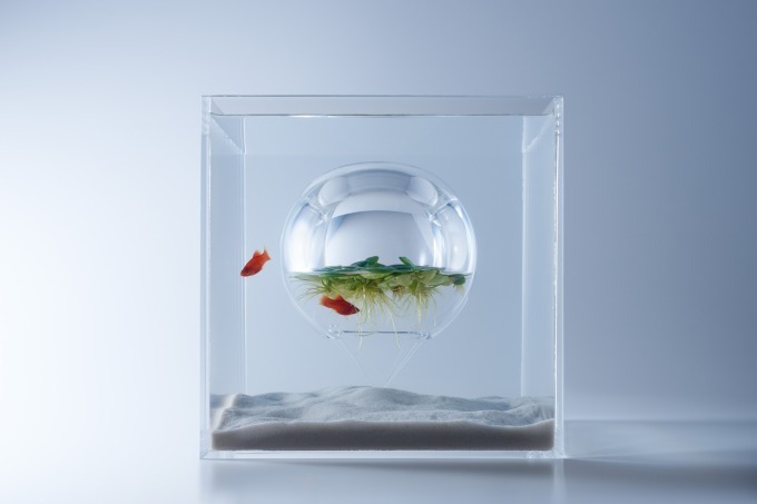 「すみだ水族館」"魚の習性"を引き出すユニークな水槽を展示、水中に球体や浮島を美しく配置｜写真2