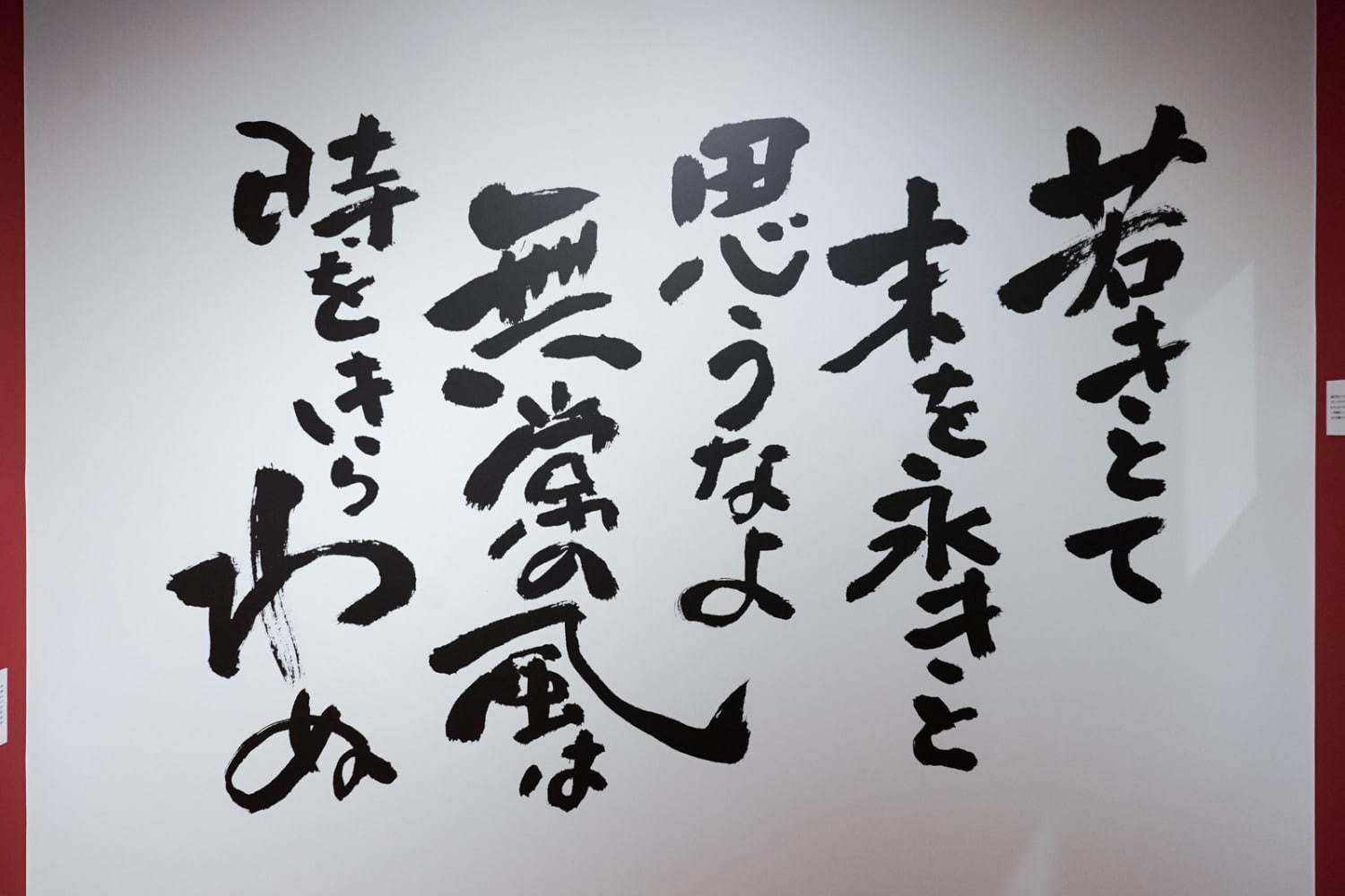 「鈴木敏夫とジブリ展」神田明神EDOCCOで開催、“言葉”を通してジブリ創作の秘密に迫る｜写真21