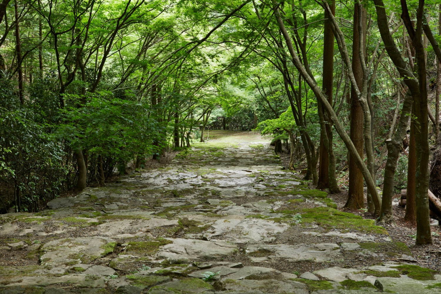 「アマン京都」が京都洛北にオープン - ミニマルなデザインの客室やスパで、自然を味わうリゾート｜写真7