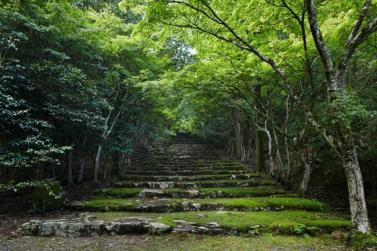 「アマン京都」が京都洛北にオープン - ミニマルなデザインの客室やスパで、自然を味わうリゾート｜写真16