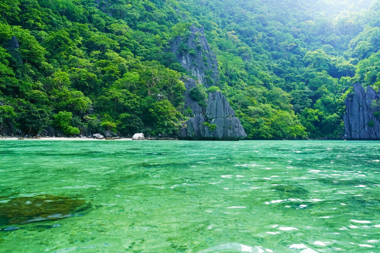 フィリピンの楽園「エルニド」最後の秘境と呼ばれるエメラルドグリーンの海とは？｜写真7