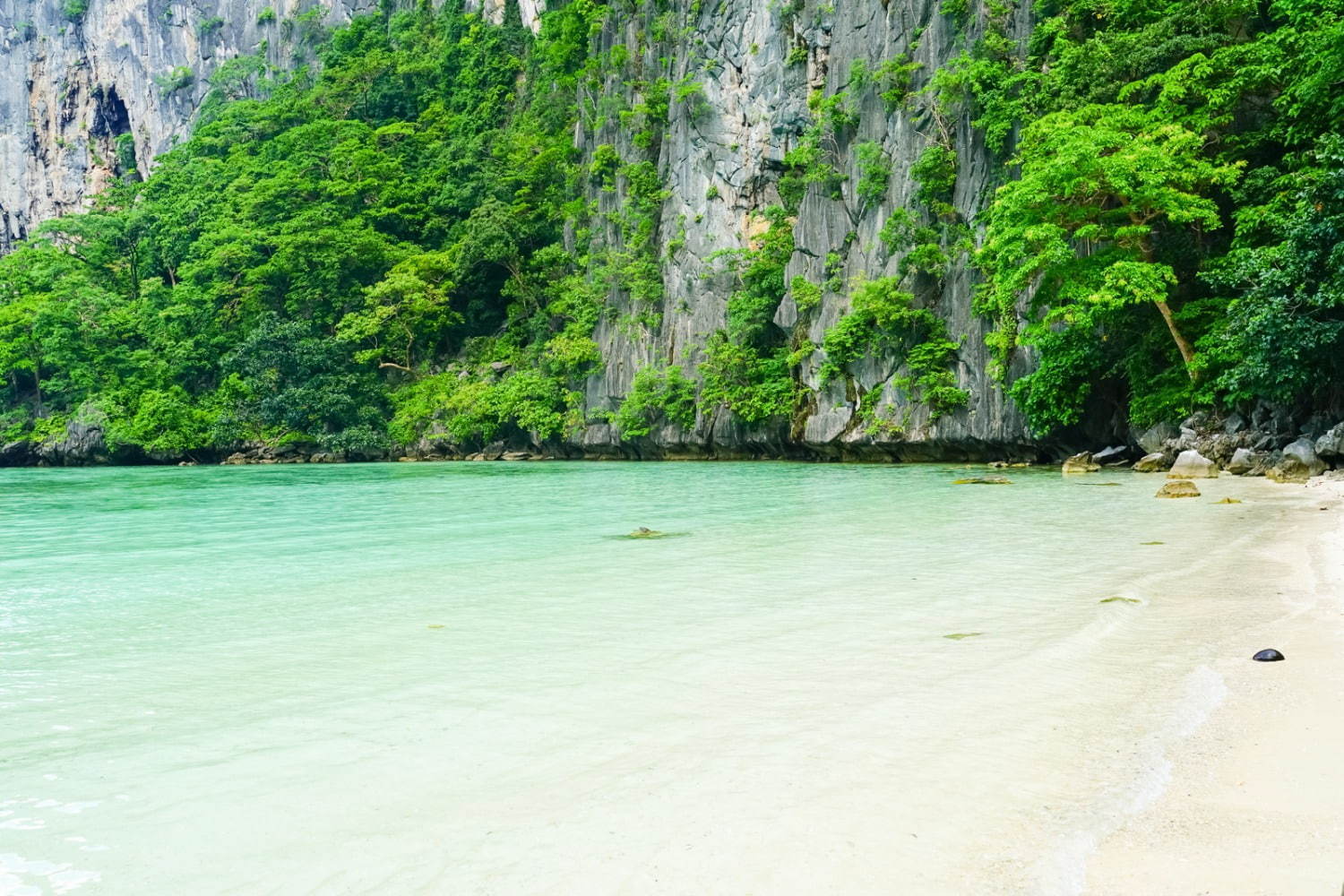 フィリピンの楽園「エルニド」最後の秘境と呼ばれるエメラルドグリーンの海とは？｜写真9