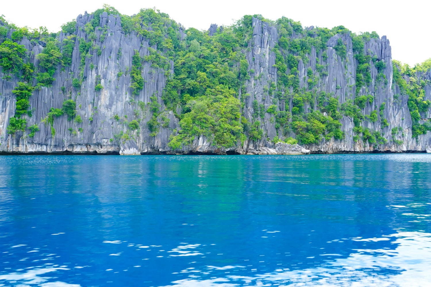 フィリピンの楽園「エルニド」最後の秘境と呼ばれるエメラルドグリーンの海とは？｜写真44
