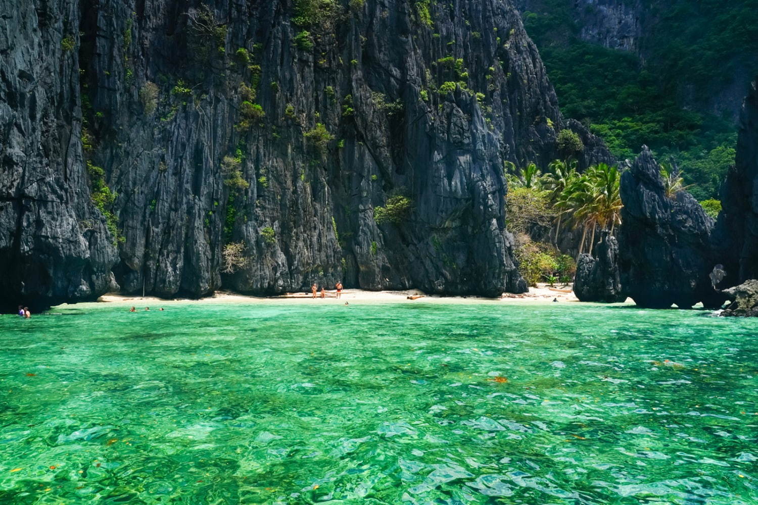 フィリピンの楽園「エルニド」最後の秘境と呼ばれるエメラルドグリーンの海とは？｜写真17