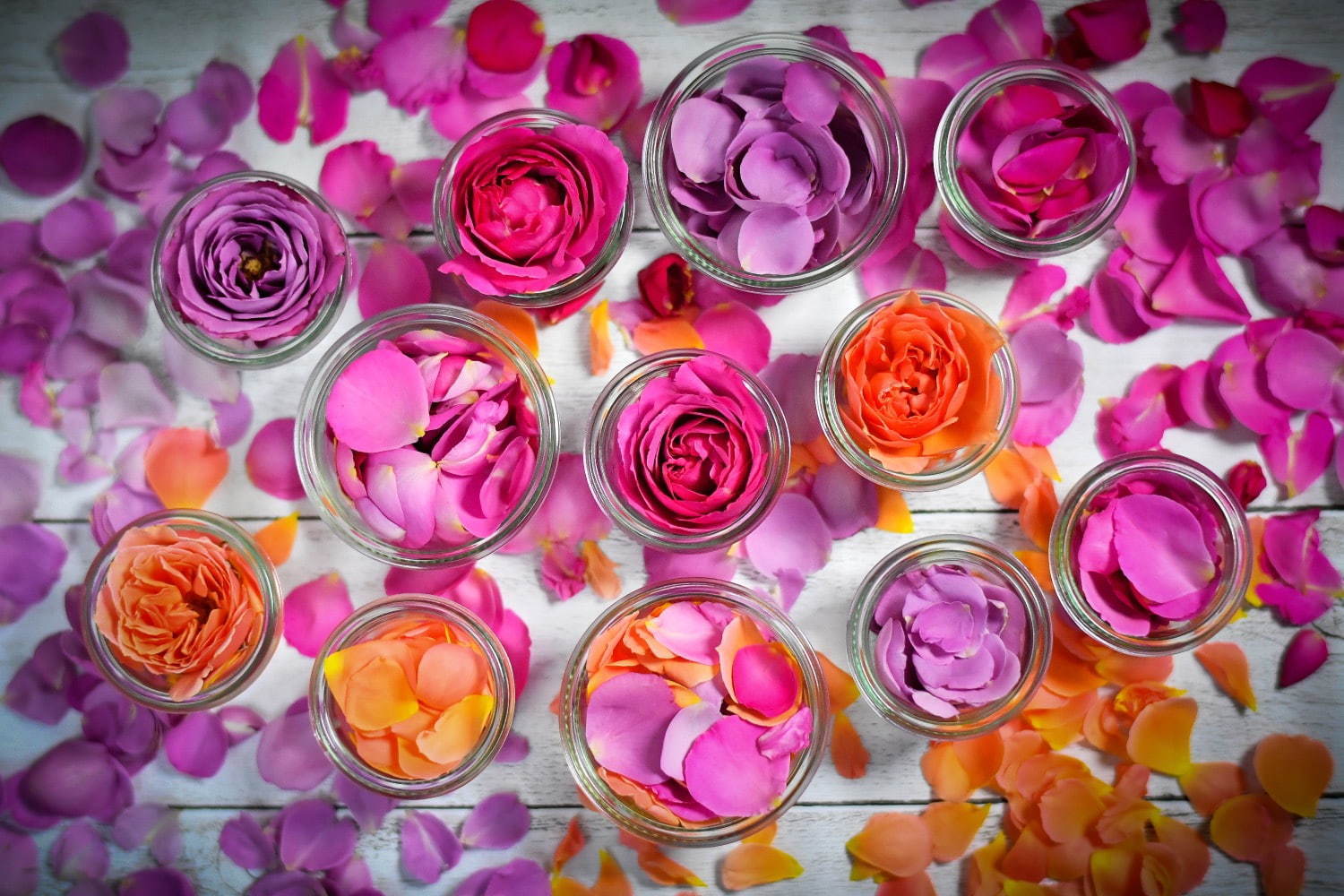 “食べられる花”体験型アートイベント「おいしい花畑」池袋にて - 花＆ハーブで彩るオリジナルドリンク｜写真30