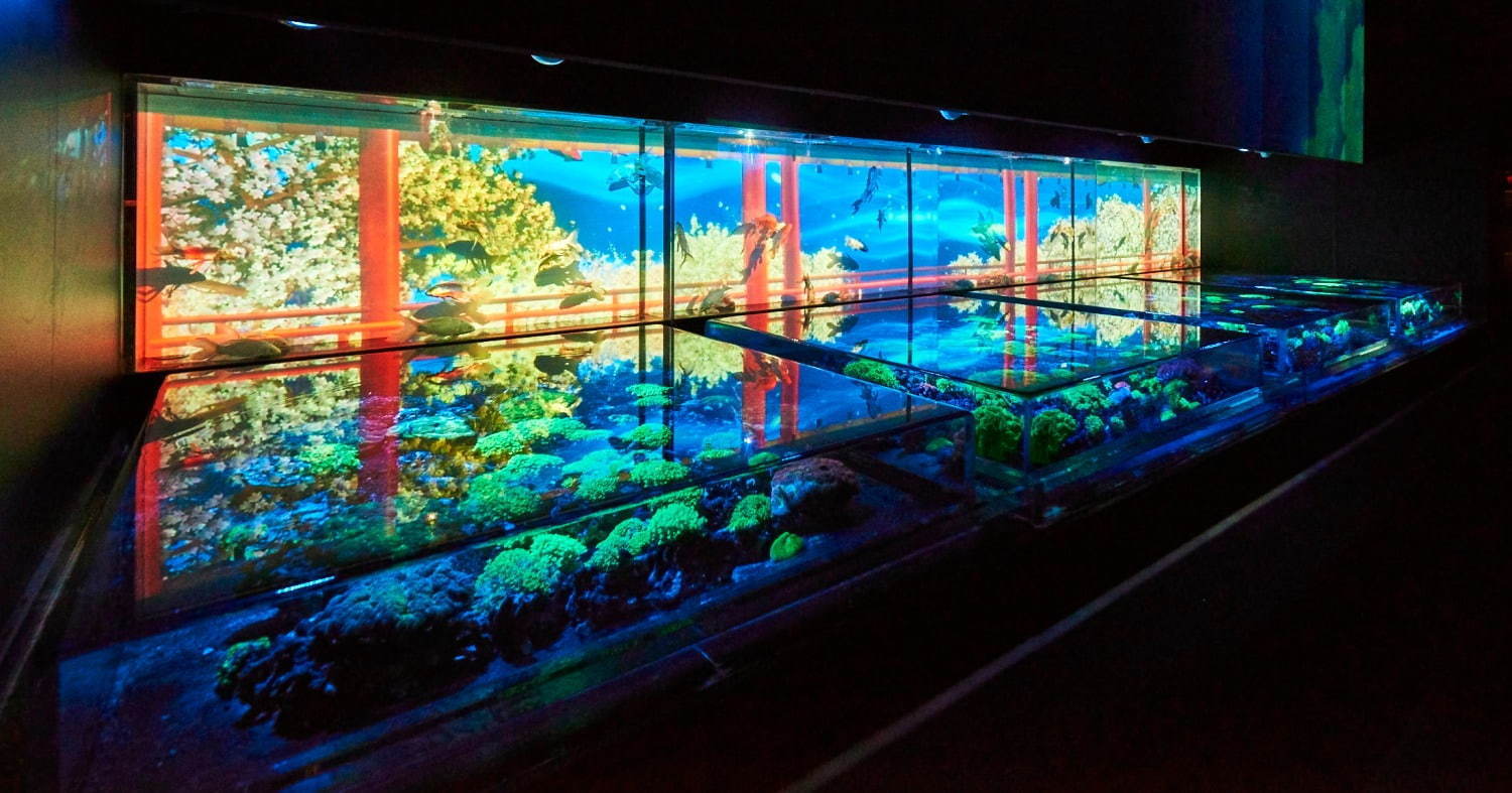 「アートアクアリウム美術館」東京・日本橋に誕生、過去最大30,000匹超の金魚が泳ぐアート空間｜写真72