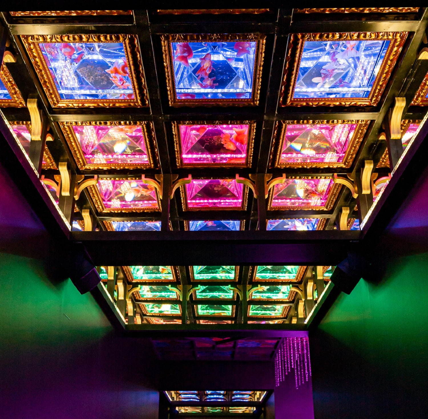 「アートアクアリウム美術館」東京・日本橋に誕生、過去最大30,000匹超の金魚が泳ぐアート空間｜写真89