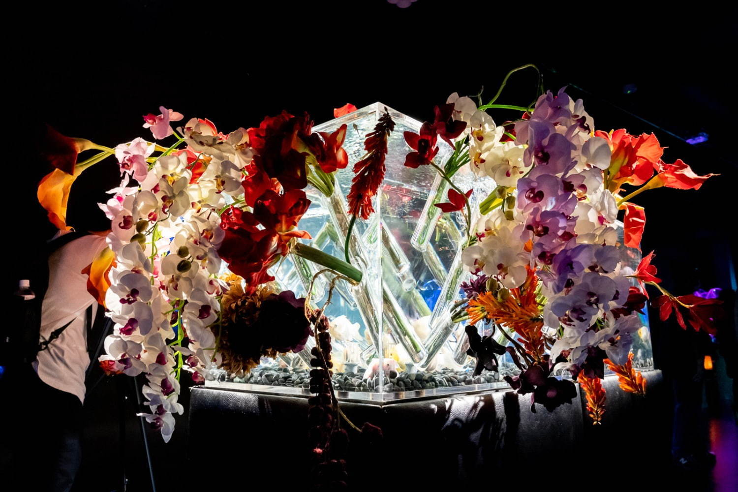 「アートアクアリウム美術館」東京・日本橋に誕生、過去最大30,000匹超の金魚が泳ぐアート空間｜写真15