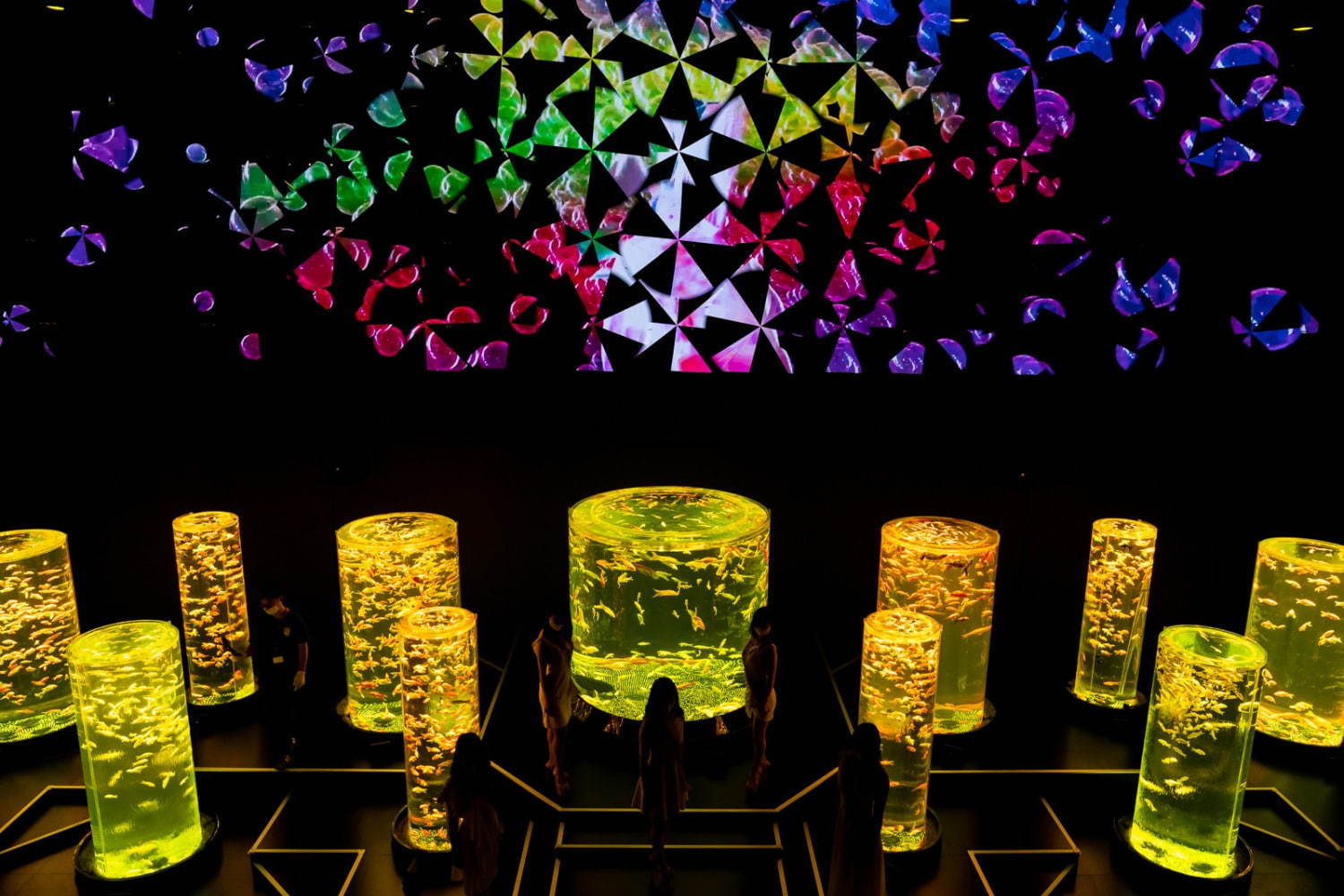 「アートアクアリウム美術館」東京・日本橋に誕生、過去最大30,000匹超の金魚が泳ぐアート空間｜写真59