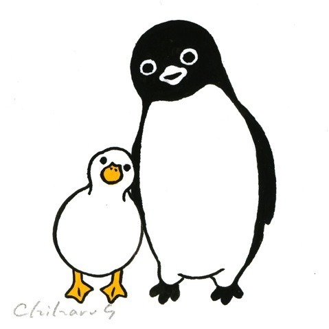 ペンギンとコールダック