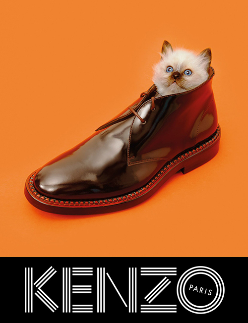 KENZO(ケンゾー)2013-14秋冬の広告で、菊地凛子が標本に!?｜写真4