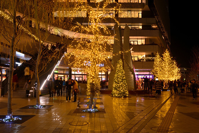 世界一高いクリスマスキャンドル - 東京スカイツリータウンのイルミネーション｜写真8