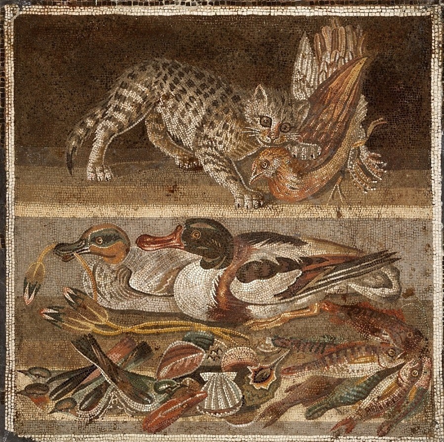 《ネコとカモ》モザイク
ナポリ国立考古学博物館
Photo©︎Luciano and Marco Pedicini