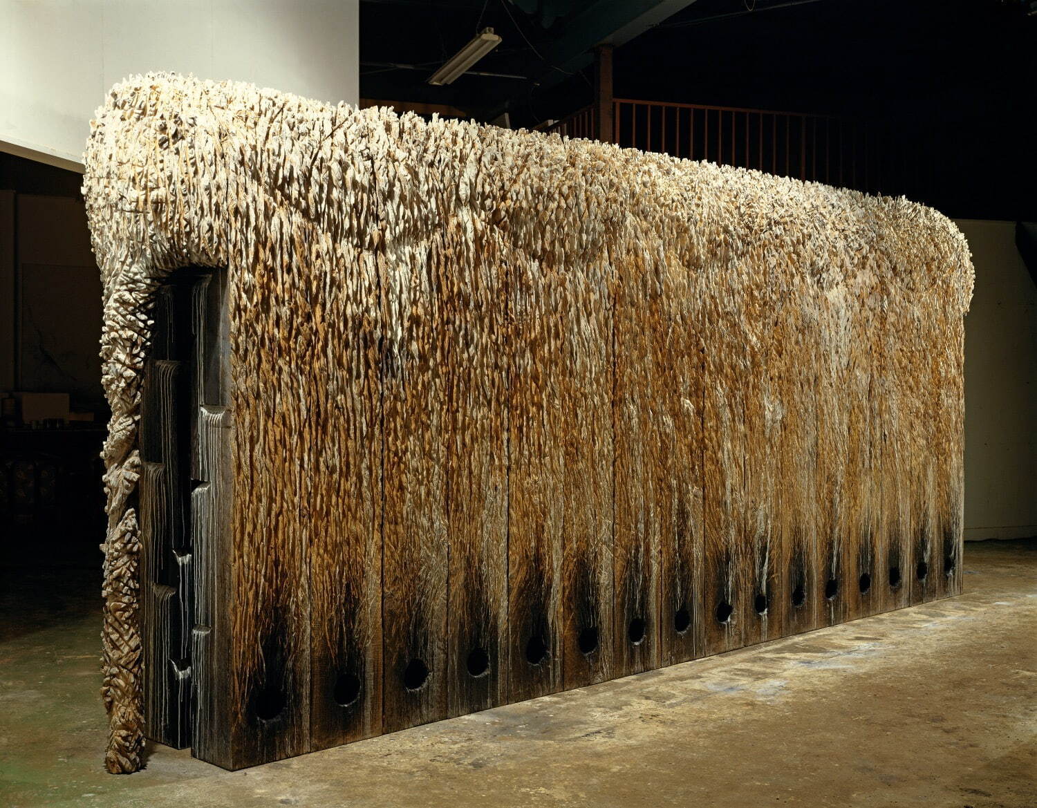 戸谷成雄《森の象の窯の死》1989年
230×560×62cm 木、灰、アクリル 東京都現代美術館蔵
撮影：山本糾