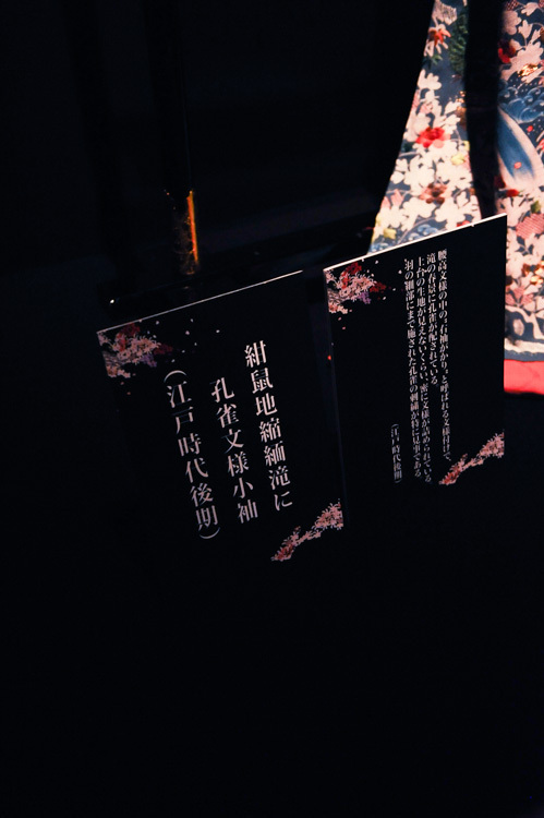 アートアクアリウム最新作も登場「江戸桜ルネッサンス＆夜桜うたげ」日本橋に美しいアートな花見の世界｜写真10