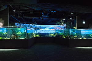 カワスイ 川崎水族館 - 写真1